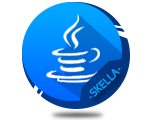 Programming Skella Icon