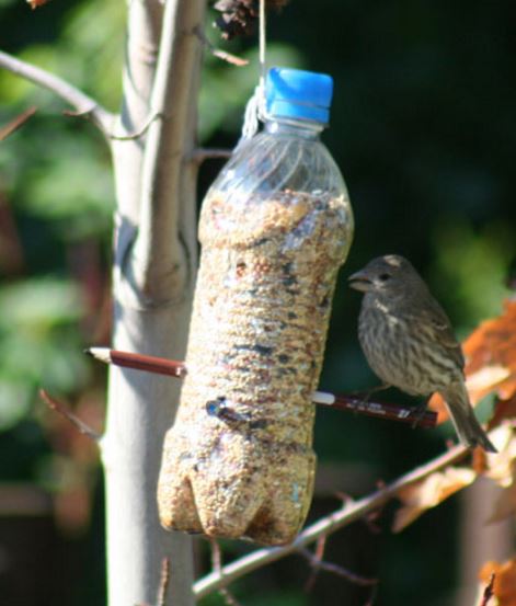 Simple Bird Feeder