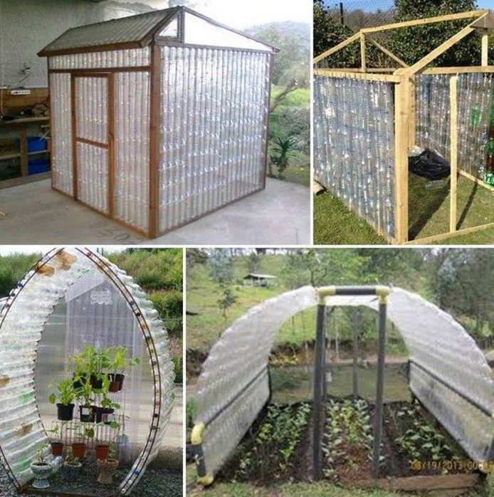 shelter for the plants plastic bottles