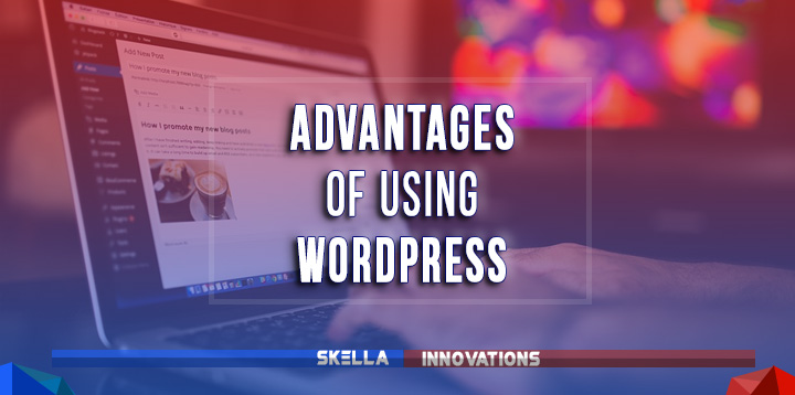 Advantages of Using WordPress for Your Website